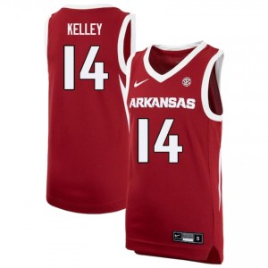#14 Ayden Kelley Arkansas Cardinal Men Jersey University College Basketball 283999-360