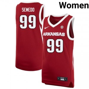 #99 Paulo Semedo Arkansas Cardinal Women Jerseys Embroidery College Basketball 209293-629