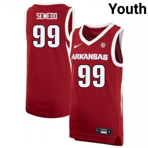 #99 Paulo Semedo Arkansas Cardinal Youth Jersey Embroidery College Basketball 521091-553